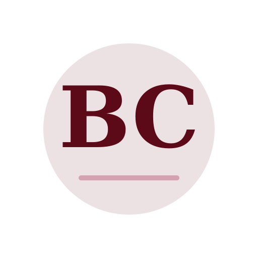 Braun Chimney Services logo